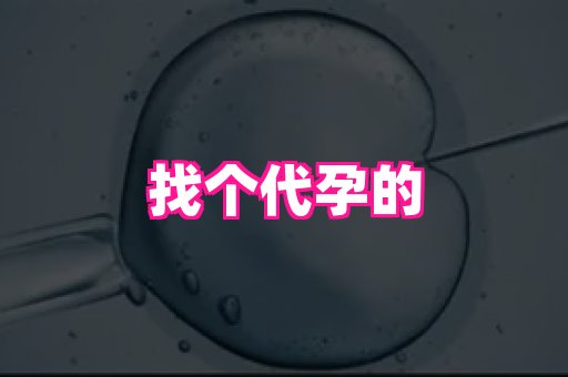 香港助孕网 2