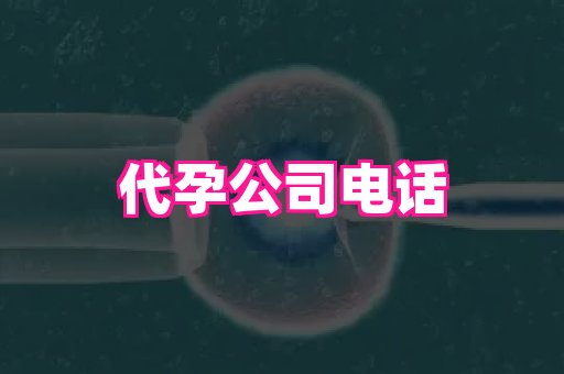香港助孕网 3